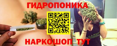 Альфа ПВП Гатчина