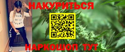 Альфа ПВП Гатчина