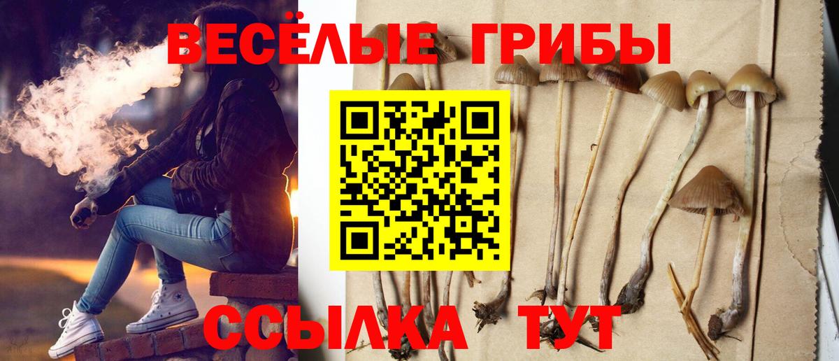 Галлюциногенные грибы прущие грибы Камышин