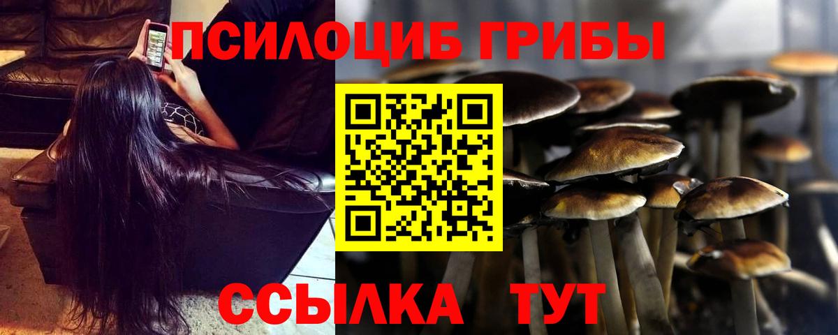 Псилоцибиновые грибы Psilocybine cubensis  Вход с VPN  Псилоцибиновые грибы ЛСД  Камышин 